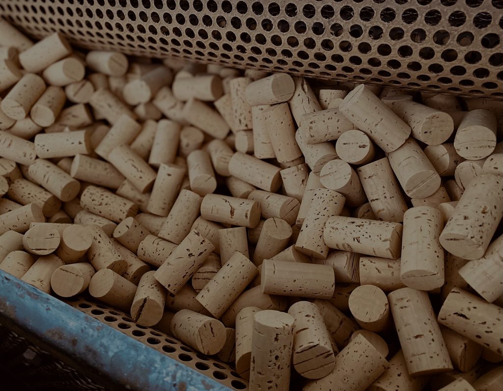 2195e56e-046d-4404-a33b-1af30e6db0b7 2195e56e 046d 4404 A33b 1af30e6db0b7 1024x797