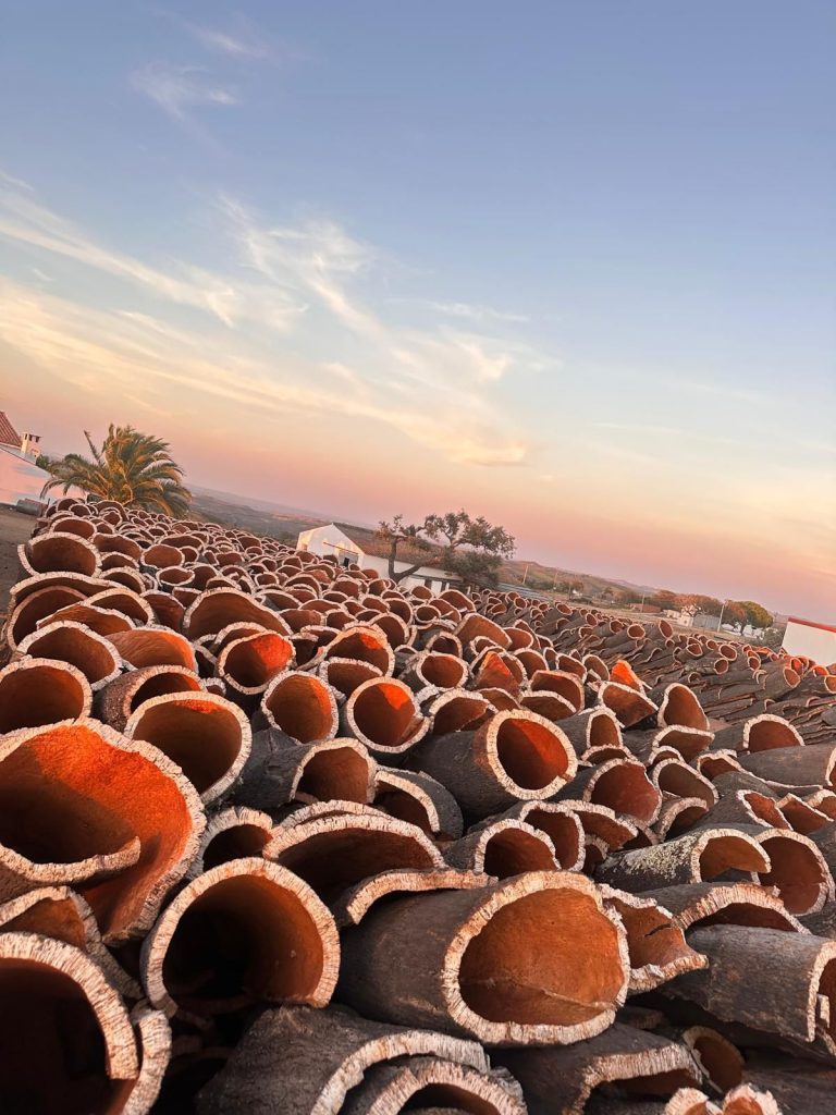 WhatsApp-Image-2026-03-08-at-16.49.54 WhatsApp Image 2026 03 08 At 16.49.54 768x1024