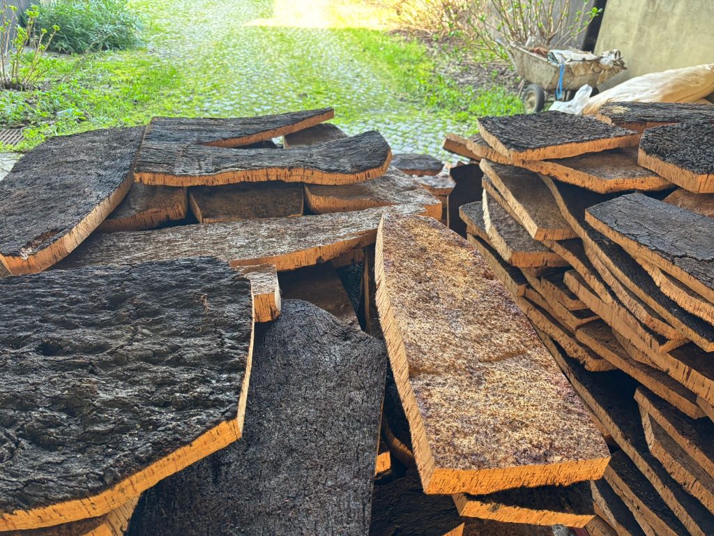 gubhinjmk Gubhinjmk 1024x768